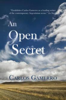 An Open Secret Read online