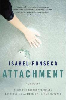Attachment Read online