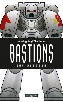 Bastions Read online