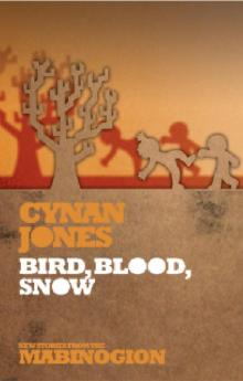 Bird Blood Snow Read online