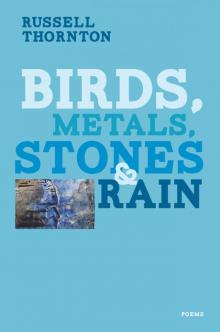 Birds, Metals, Stones and Rain Read online