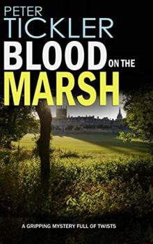 Blood on the Marsh Read online