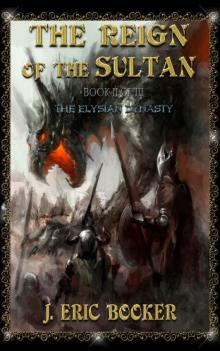 BOOK II OF III: The Reign of the Sultan Read online