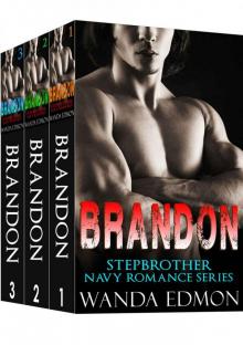 BRANDON: Stepbrother Navy Romance Series