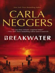 Breakwater Read online