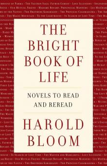 Bright Book of Life : Novels to Read and Reread (9780525657279)