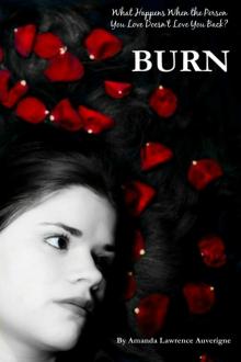 Burn (The Burn Series, Book 1)