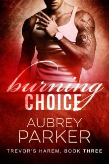 Burning Choice (Trevor's Harem #3) Read online
