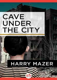 Cave Under the City Read online