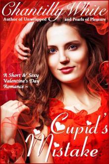 Cupid's Mistake Read online