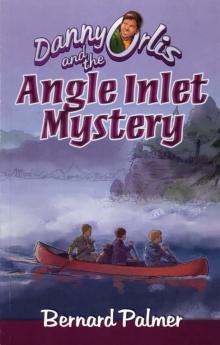 Danny Orlis and the Angle Inlet Mystery Read online
