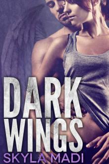 Dark Wings (Never Dark Book 1) Read online