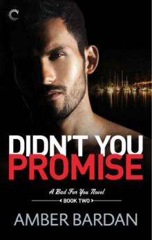 Didn't You Promise (A Bad for You Novel) Read online