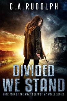 Divided We Stand Read online