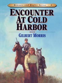 Encounter at Cold Harbor Read online