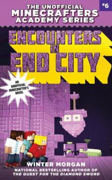 Encounters in End City Read online