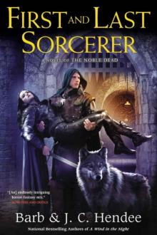 First and Last Sorcerer Read online