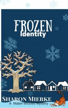 Frozen Identity Read online