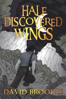 Half Discovered Wings Read online