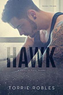 Hawk_Devil's Fury Book 3 Read online