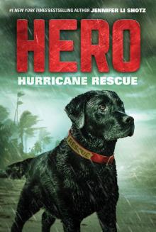 Hurricane Rescue Read online