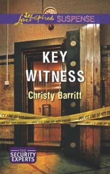 Key Witness Read online