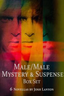 Male/Male Mystery and Suspense Box Set: 6 Novellas Read online