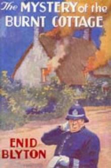 Mystery of the Burnt Cottage tffabtd-1 Read online