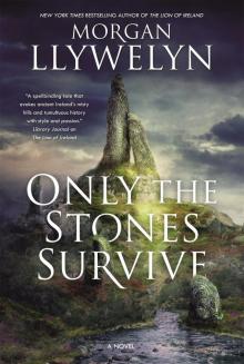 Only the Stones Survive: A Novel Read online