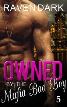 Owned by the Mafia Bad Boy (Book Five) Read online