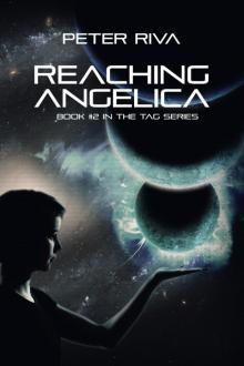 Reaching Angelica Read online
