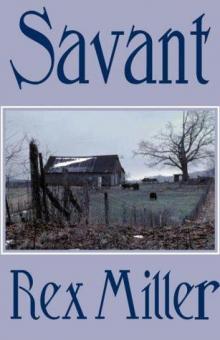 Savant c-4 Read online