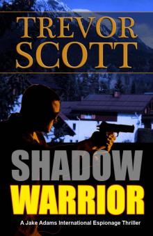 Shadow Warrior