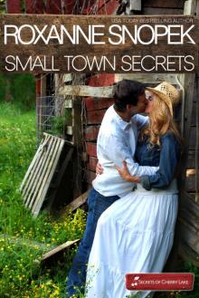 Small Town Secrets Read online