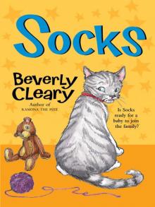 Socks Read online
