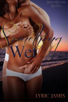 Something Wet: Beach House Nights Book 2 Read online