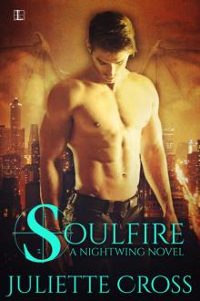 Soulfire Read online