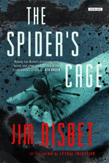 Spider’s Cage Read online