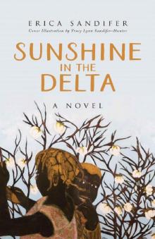 Sunshine in the Delta: A Novel