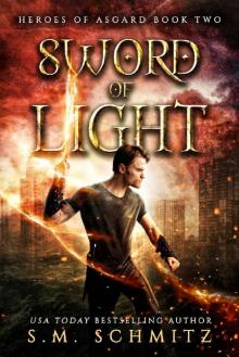 Sword of Light Read online