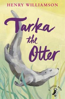 Tarka the Otter Read online