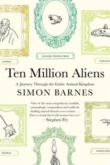 Ten Million Aliens Read online