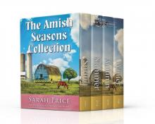 The Amish Seasons Collection: Contains An Amish Spring, An Amish Summer, An Amish Autumn, and An Amish Winter