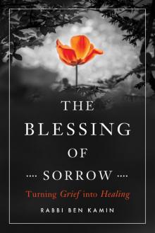 The Blessing of Sorrow