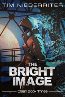 The Bright Image Read online