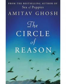 The Circle of Reason Read online