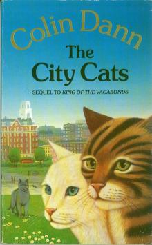 The City Cats Read online