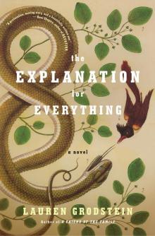The Explanation for Everything: A Novel Read online
