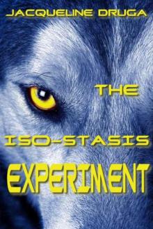 The Iso-Stasis Experiment (The Experiments) Read online