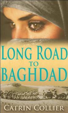 The Long Road to Baghdad (2011) Read online